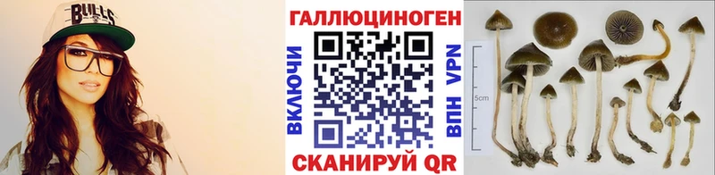 Галлюциногенные грибы Psilocybine cubensis  MEGA зеркало  Семикаракорск 